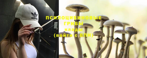 амф Абаза