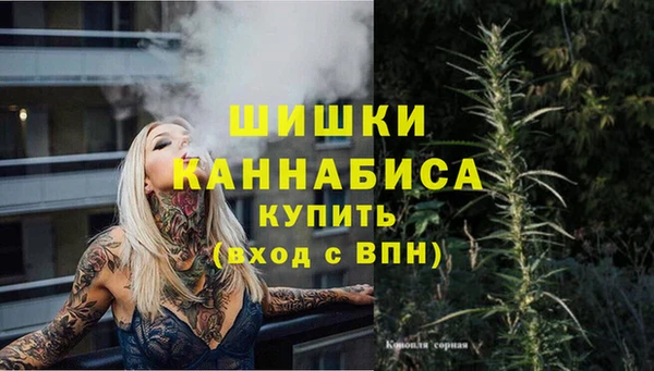 spice Абинск