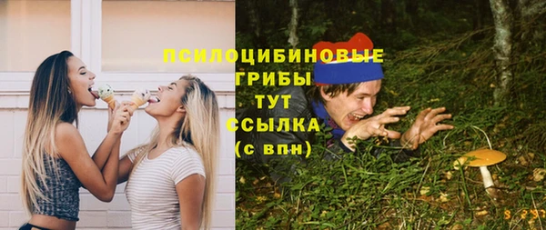 амф Абаза