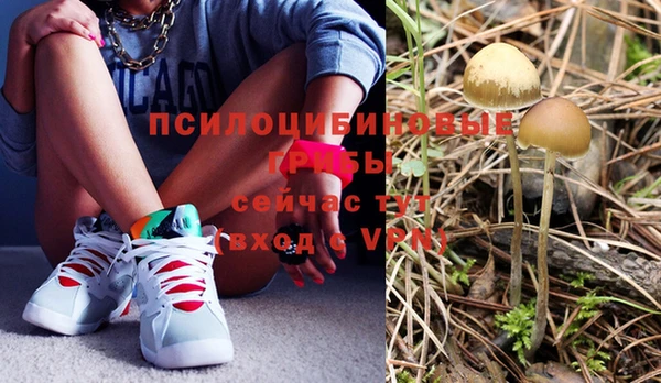 амф Абаза