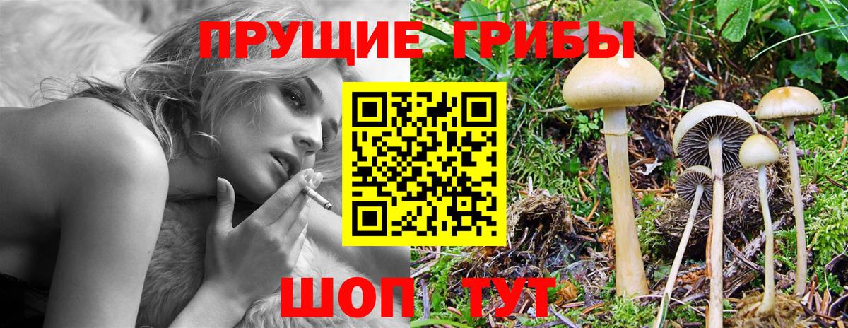 Галлюциногенные грибы MAGIC MUSHROOMS  где найти   Симферополь  Вход с VPN 